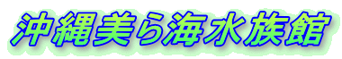 沖縄美ら海水族館